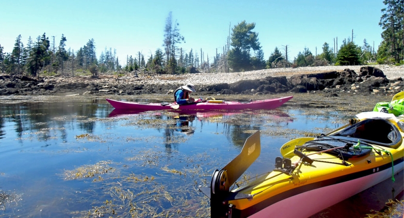 A person sits inside a red kayak near the shore